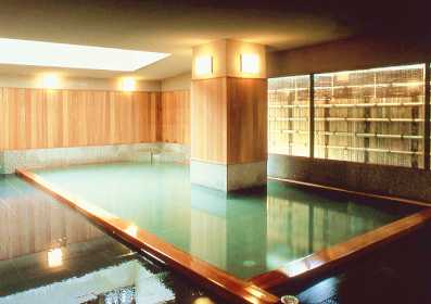 戸倉上山田温泉 ホテル圓山荘 内湯