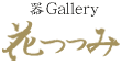 Gallery Ԃ